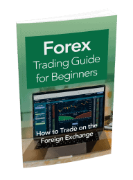 Forex Trading Guide for Beginners eBook