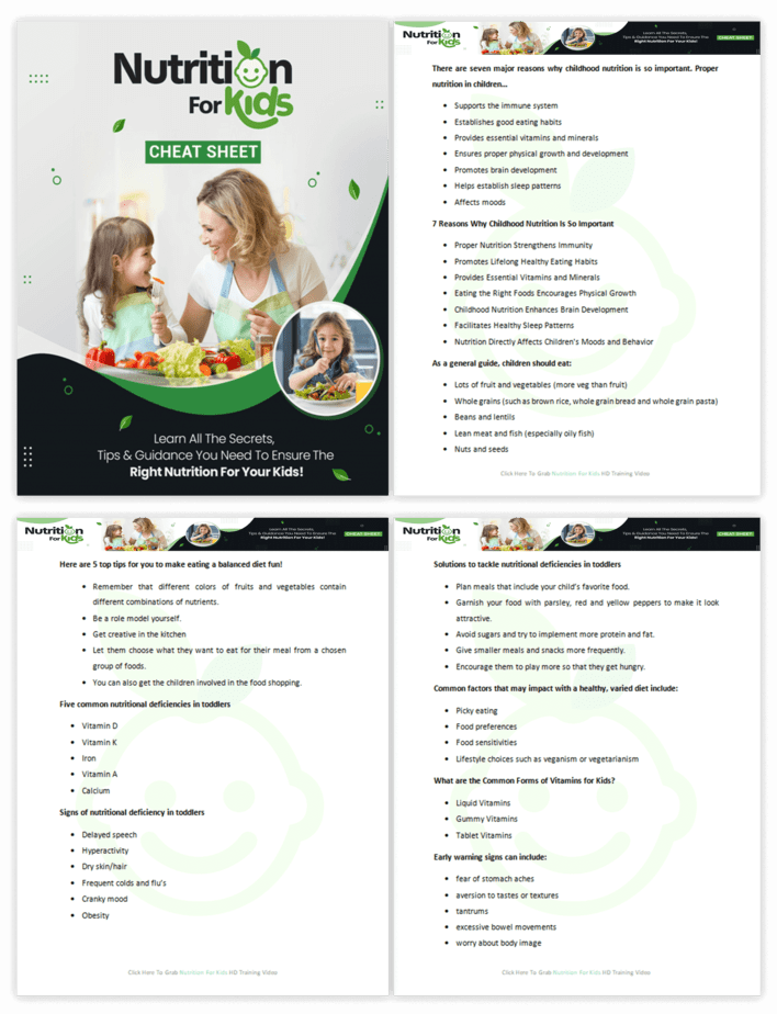 Nutrition for Kids PLR Sales Funnel Cheatsheet Screenshot