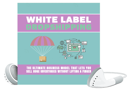 White Label Dropshipping Voiceover
