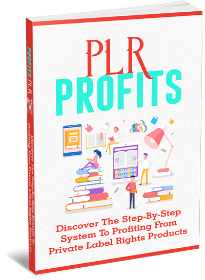 PLR Profits Ebook