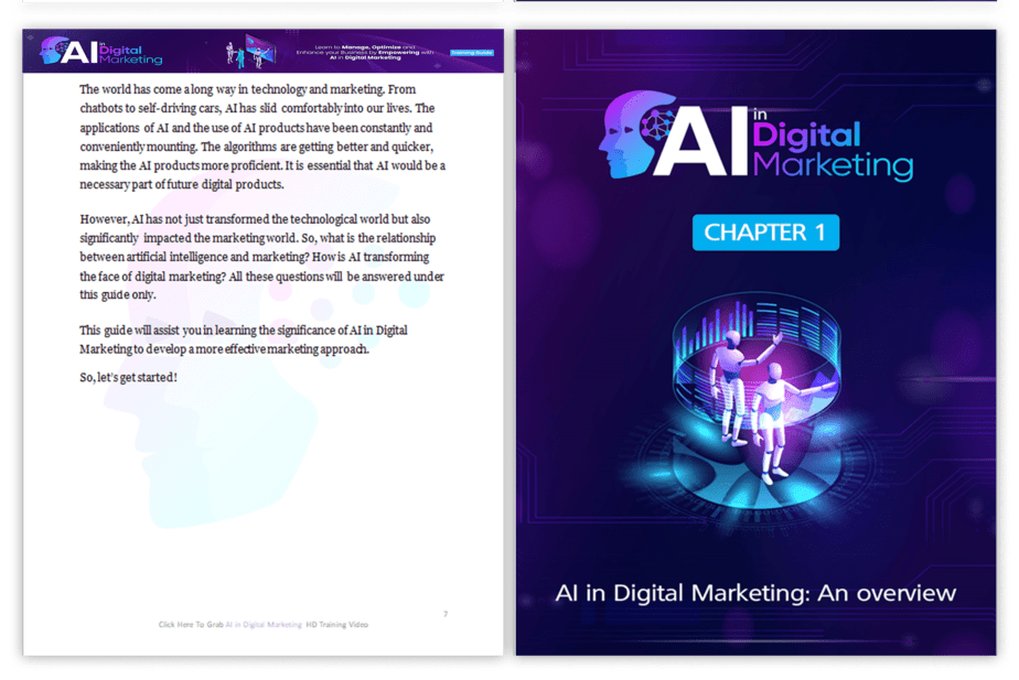 Artificial Intelligence in Digital Marketing PLR Sales Funnel Training Guide Training Guide