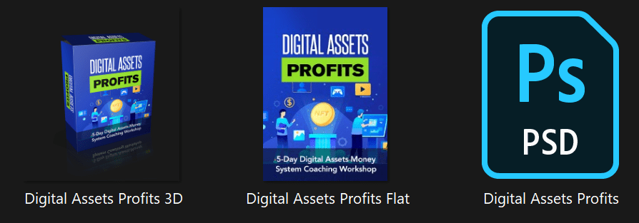 Digital Assets Profits 5-Day PLR Video Workshop Graphics