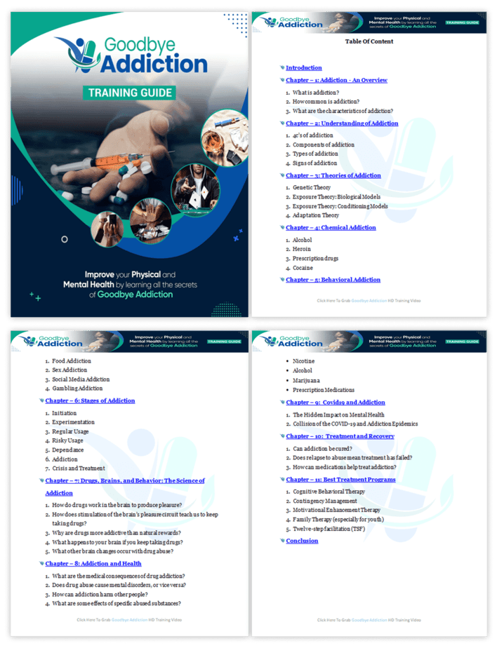 Goodbye Addiction PLR Sales Funnel Training Guide Screenshot