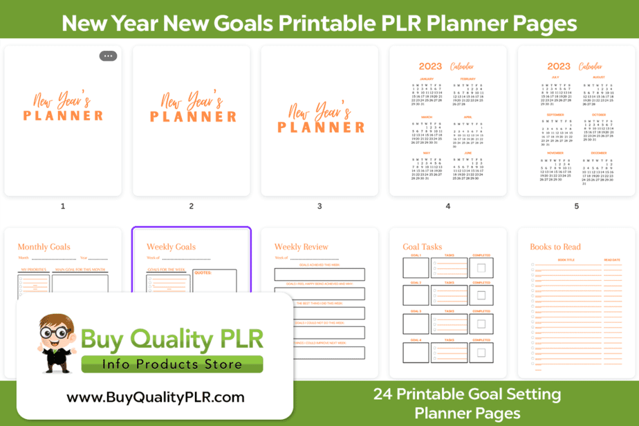 New Year New Goals Printable PLR Planner Pages