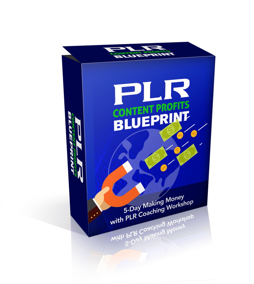 PLR Content Profits Blueprint 3D