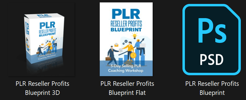 PLR Reseller Profits Blueprint 5 Day PLR Video Workshop Graphics