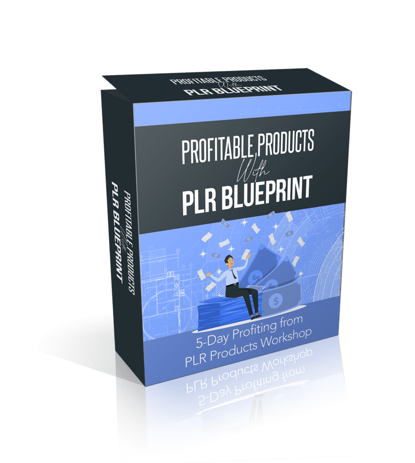 Profitable Products With PLR Blueprint 3D