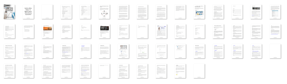 WordPress Affiliate Blogging Ebook Screenshot