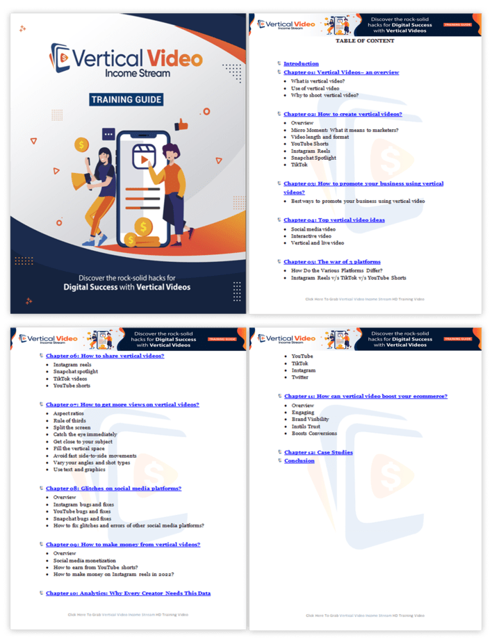 Vertical Video Income Stream PLR Sales Funnel Training Guide Screenshot