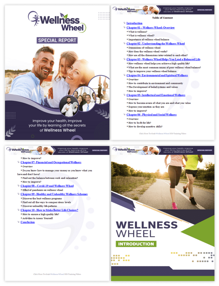 Wellness Wheel PLR Sales Funnel Report Screenshot