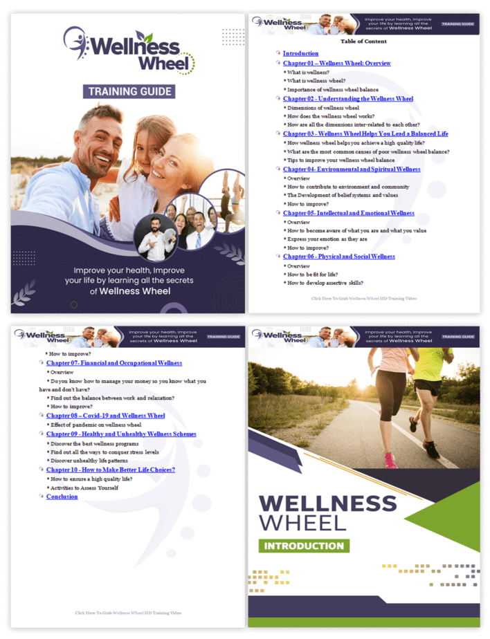 Wellness Wheel PLR Sales Funnel Training Guide Screenshot