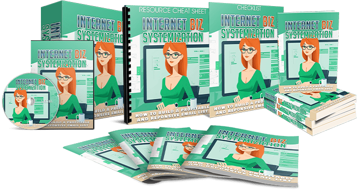 Internet Biz Systemization Bundle