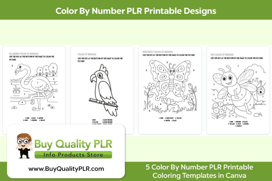 Color By Number PLR Printable Designs