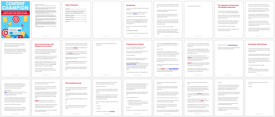 Content Champion PLR Lead Magnet Kit Report