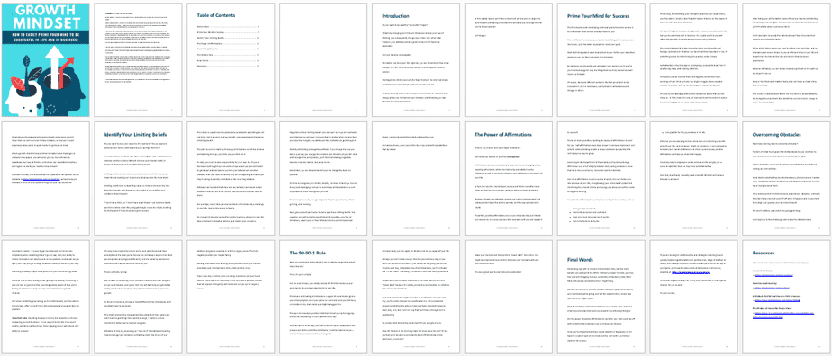 Growth Mindset PLR Lead Magnet Repoet