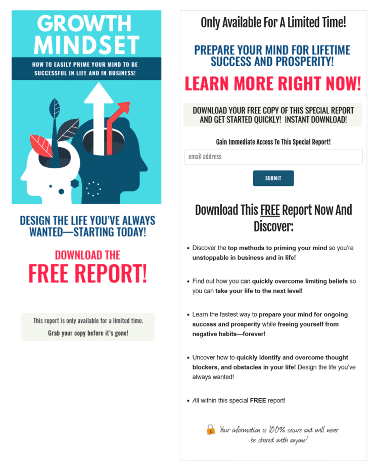 Growth Mindset PLR Lead Magnet Squeeze Page