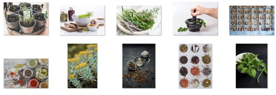 Adaptogenic Herbs Images