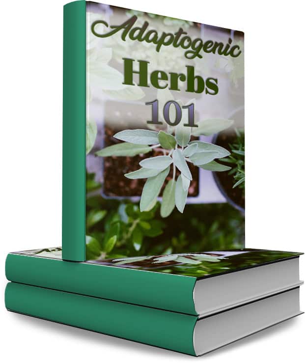 Adaptogenic Herbs PLR Report