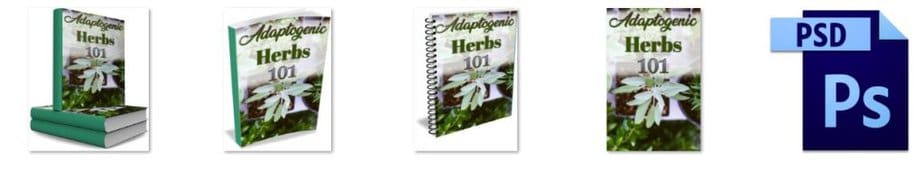 Adaptogenic Herbs eCovers Graphics