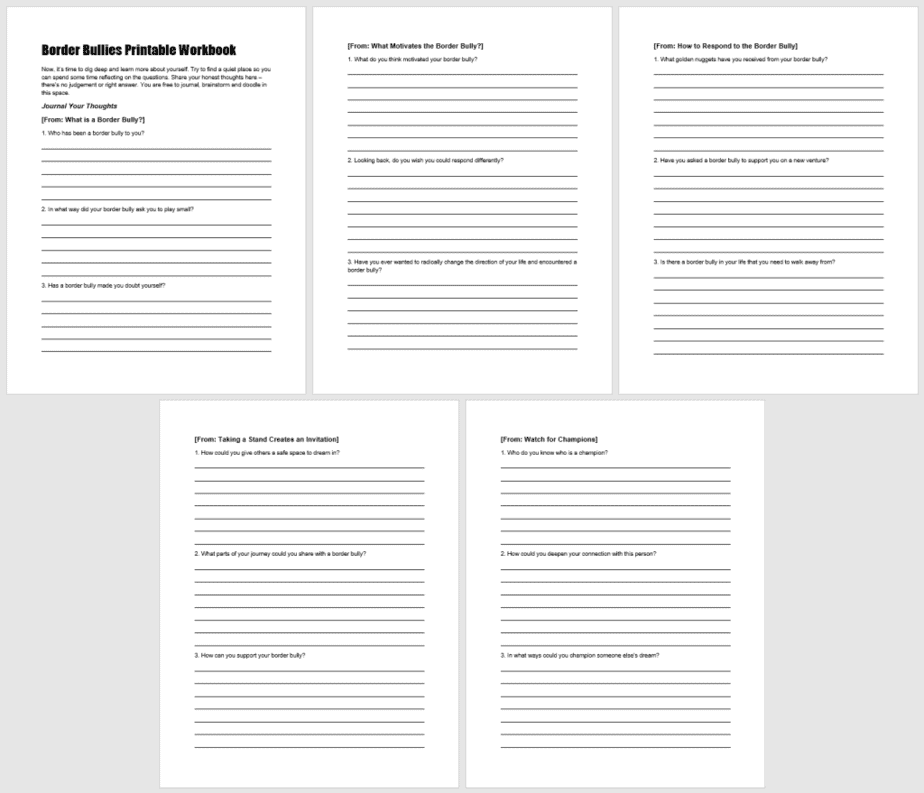 Border Bullies PLR Workbook