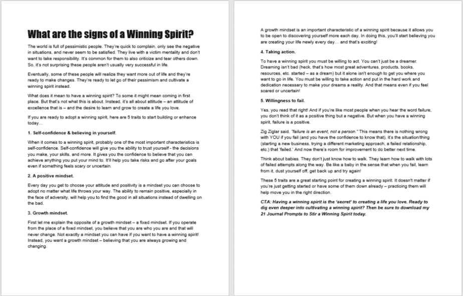 21 Journal Prompts To Stir A Winning Spirit PLR Blog Post