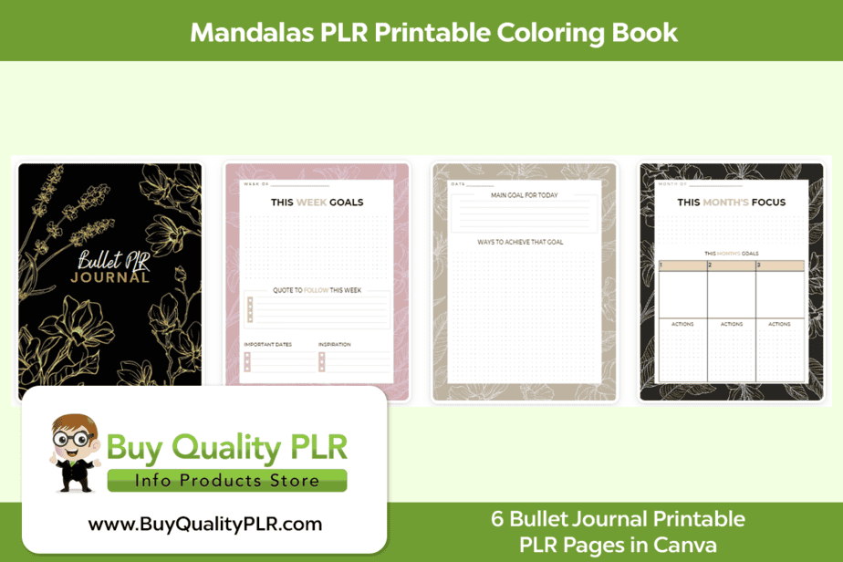 Bullet PLR Printable Journal Pages