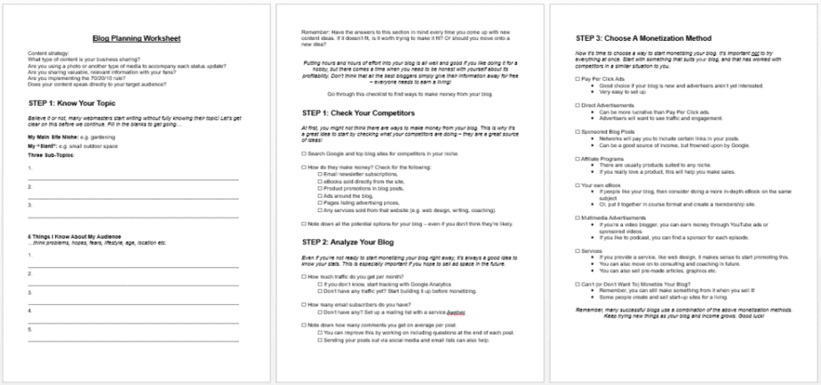 Free Blog Planning PLR Printable Worksheet Screenshots.