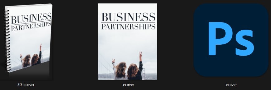 Business Partnerships Premium PLR Package Covers