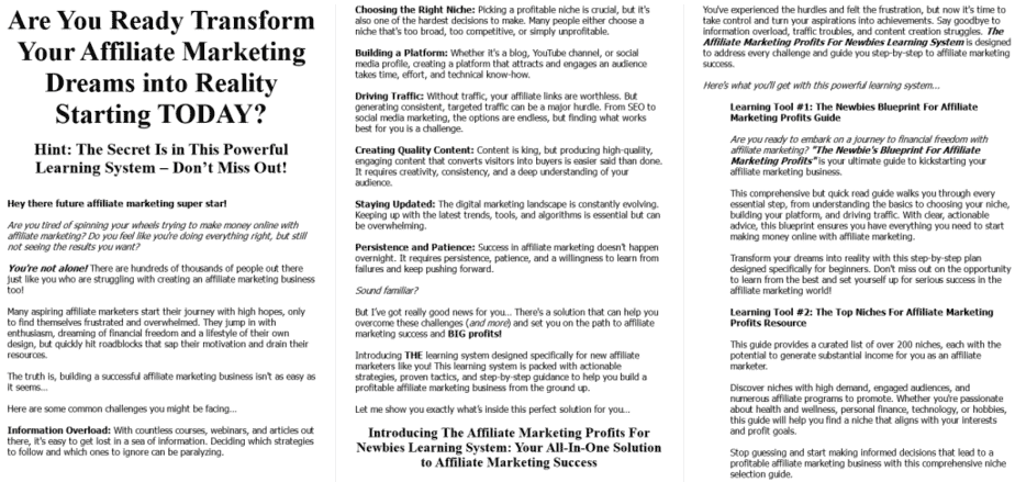 Newbie's Blueprint For Affiliate Marketing Sales Letter