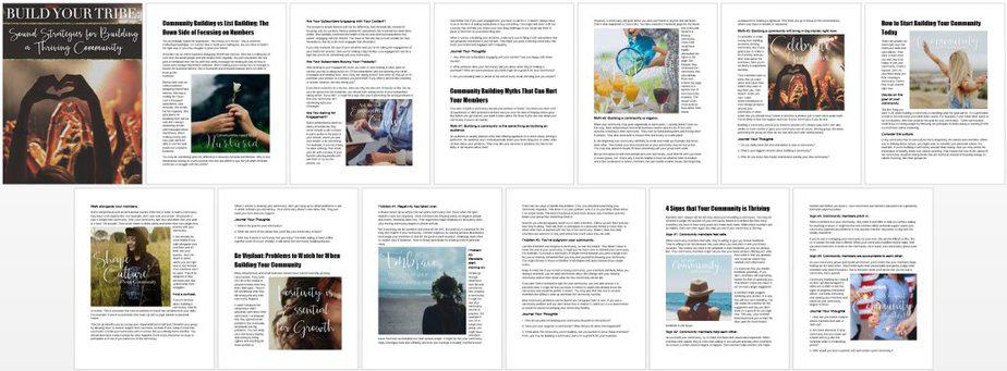 Community Building PLR Ebook Journal